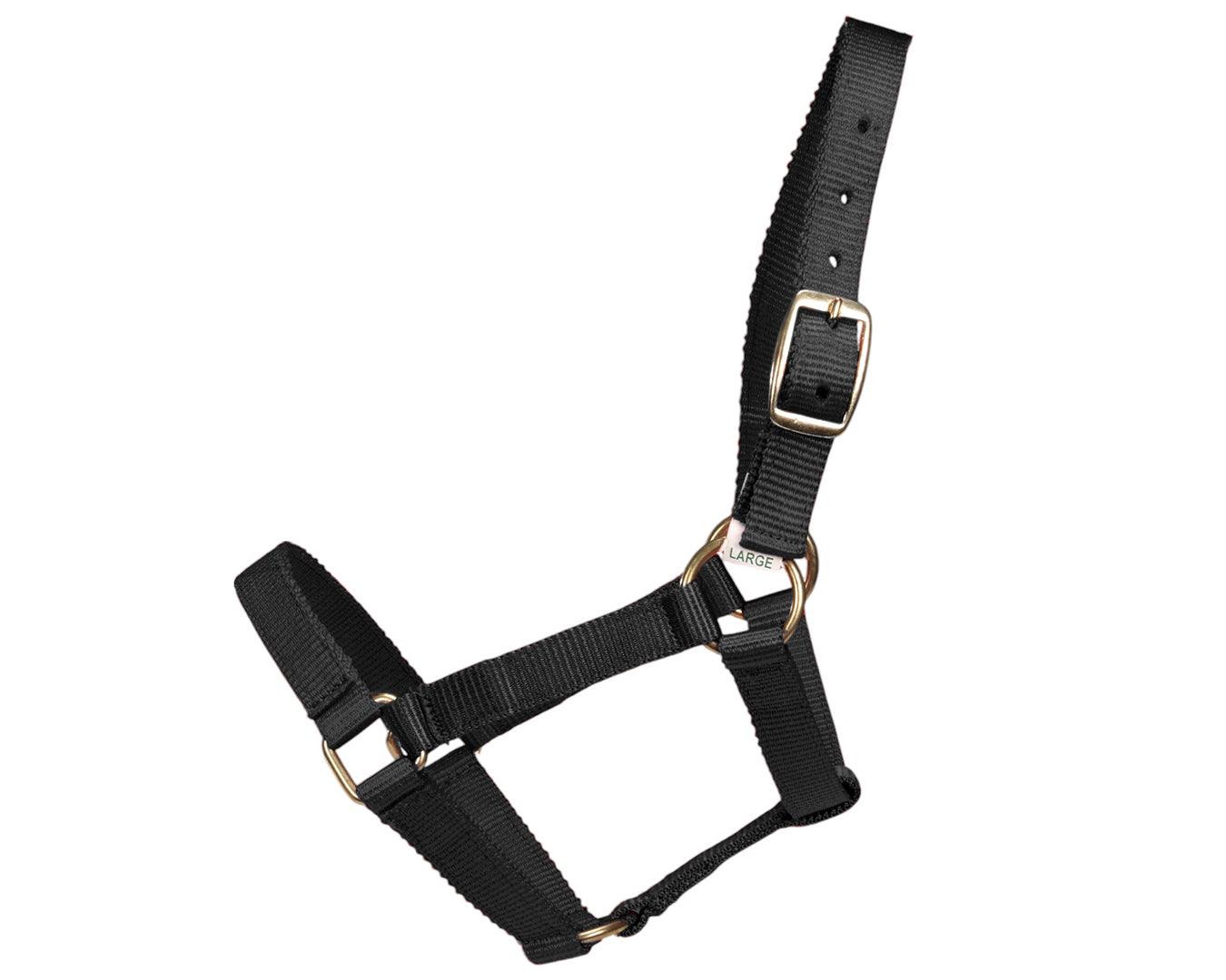 Piccolo Mini Horse PP Halter - Image 2
