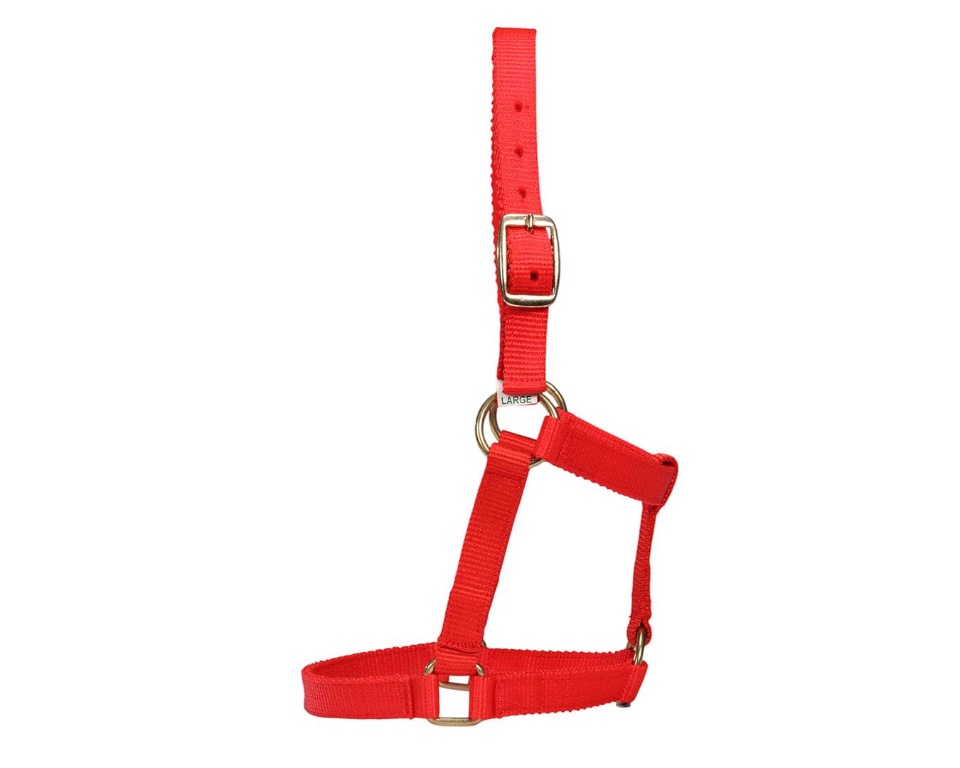 Piccolo Mini Horse PP Halter - Image 9