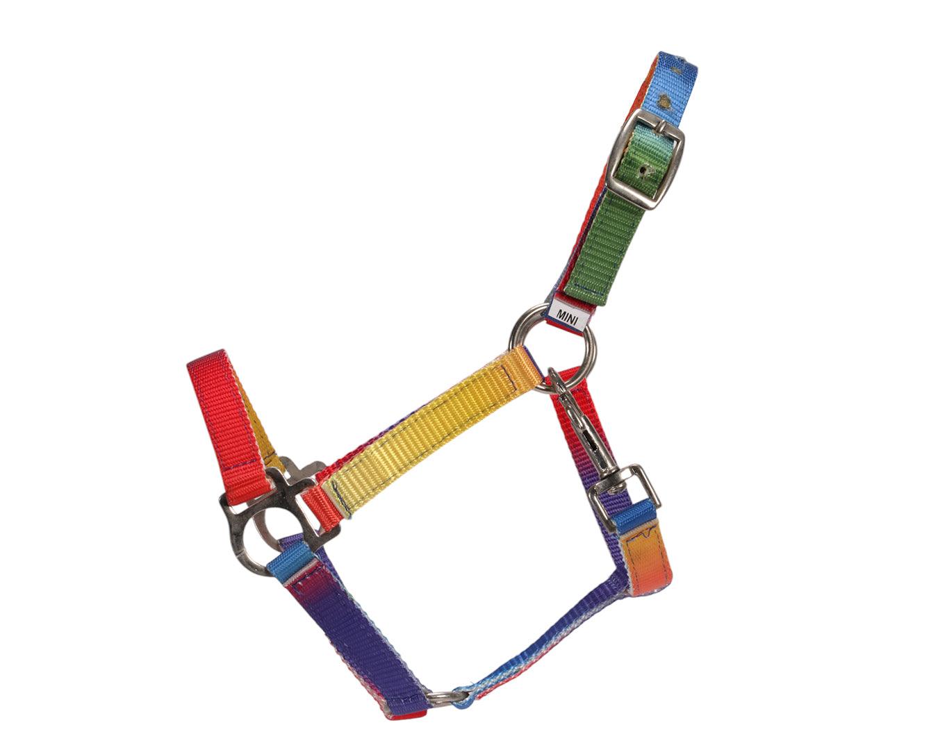 Piccolo Rainbow Halter - Image 2