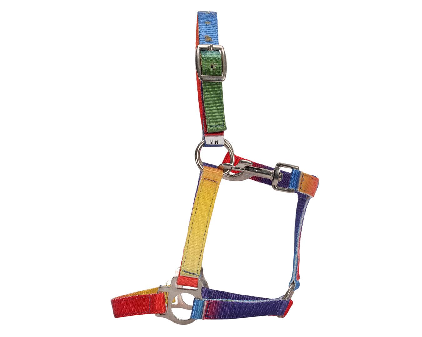 Piccolo Rainbow Halter - Image 3