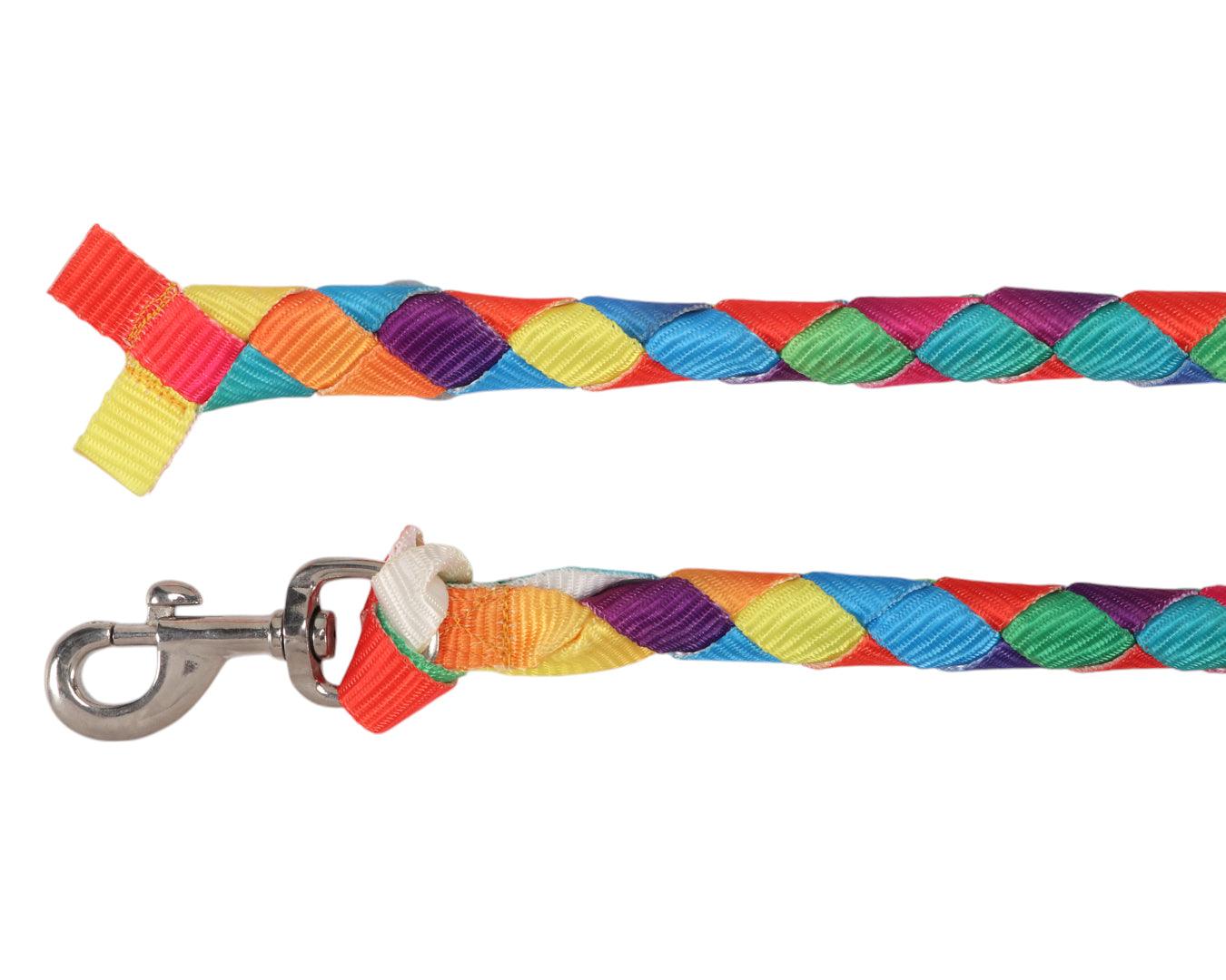 Piccolo Rainbow Lead Rope - Image 3