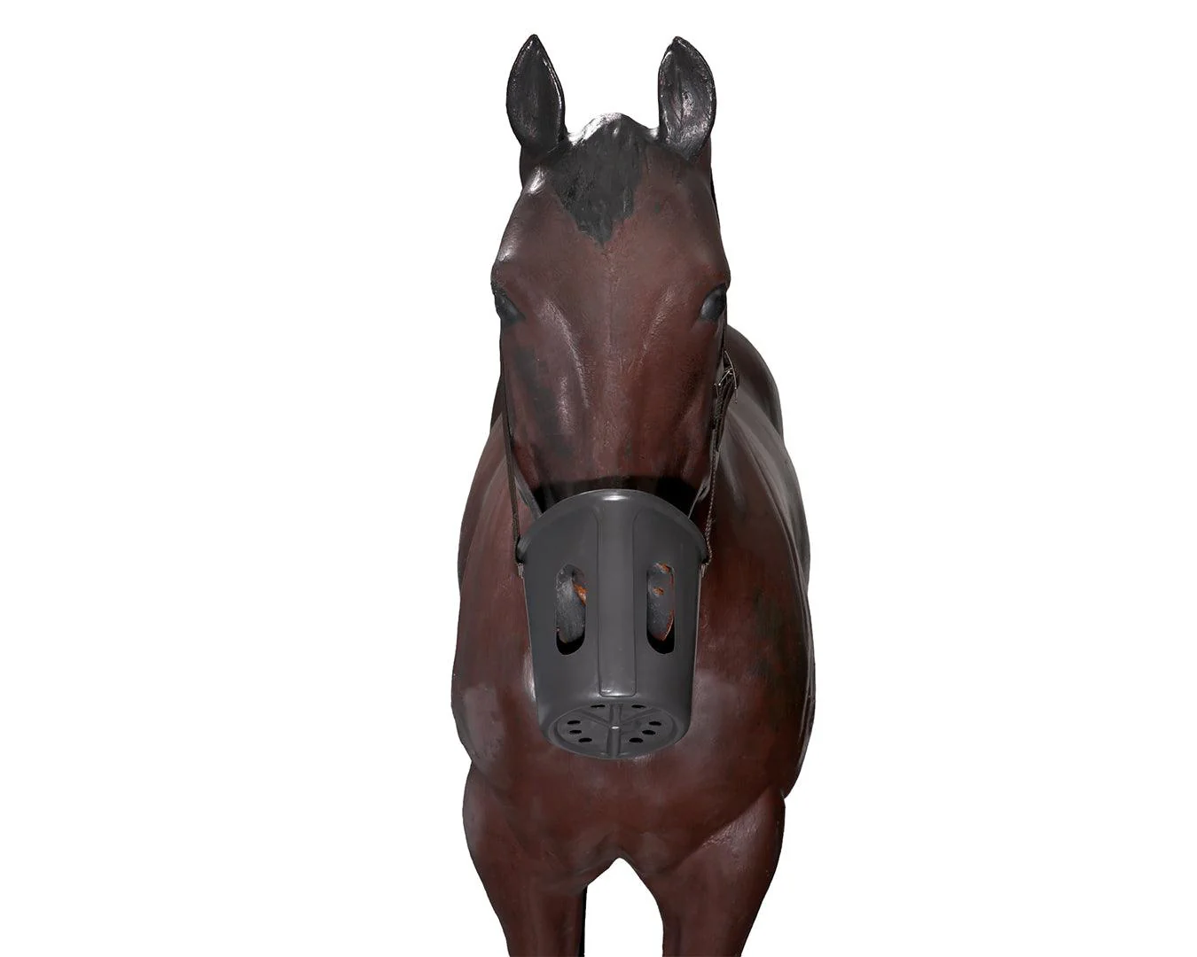 Plastic Box Muzzle - Image 4
