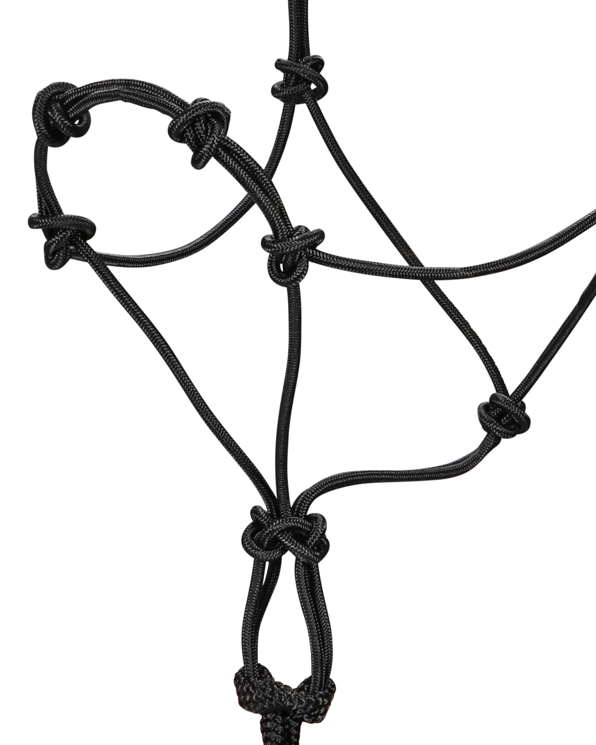 Professional's Choice Clinician Halter - Image 3