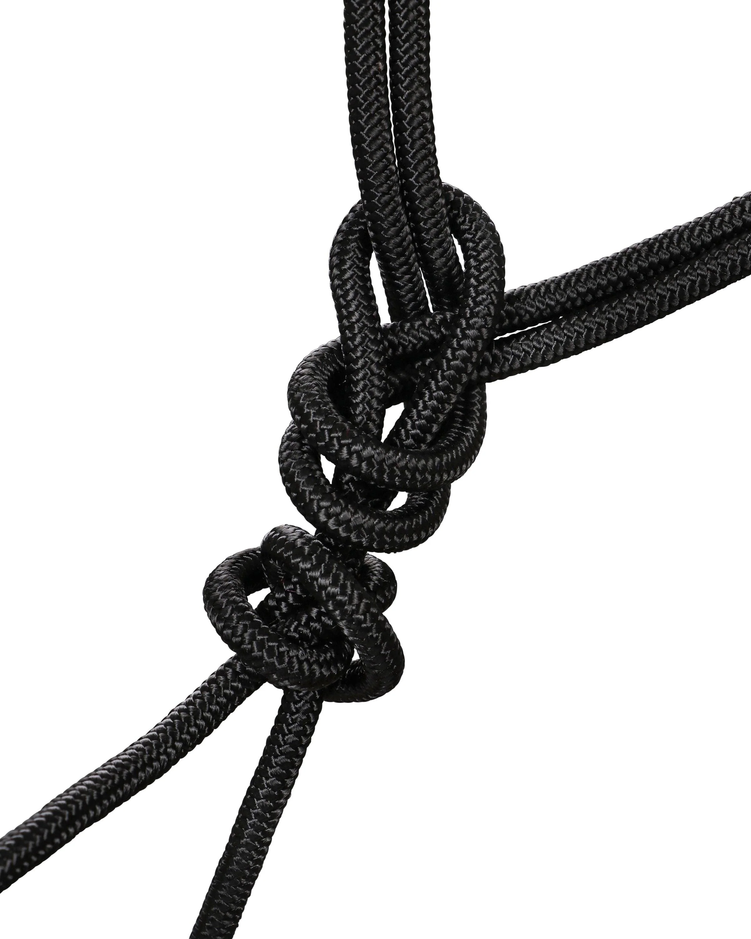 Professional's Choice Clinician Halter - Image 4