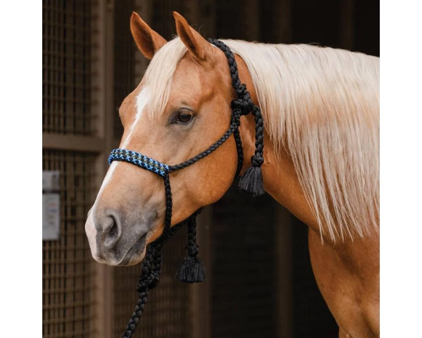 Professional's Choice Cowboy Braided Halter With Lead