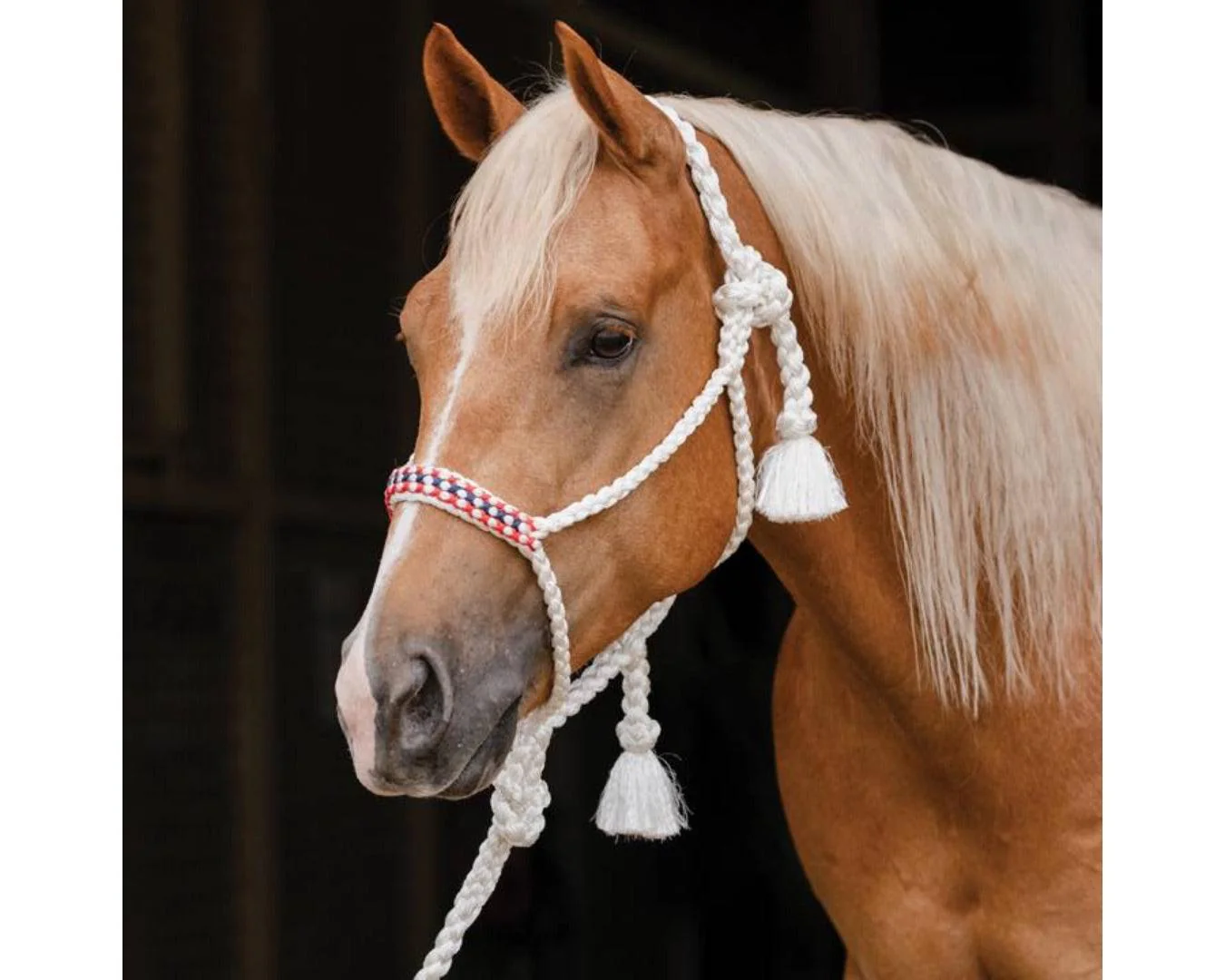 Professional's Choice Cowboy Braided Halter With Lead - Image 11