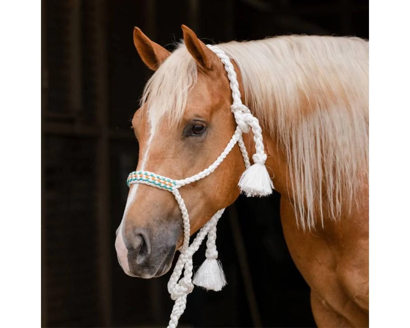 Professional's Choice Cowboy Braided Halter With Lead - Image 15