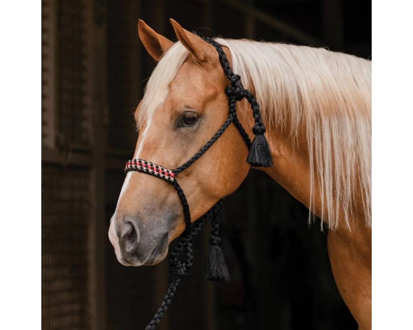 Professional's Choice Cowboy Braided Halter With Lead - Image 6