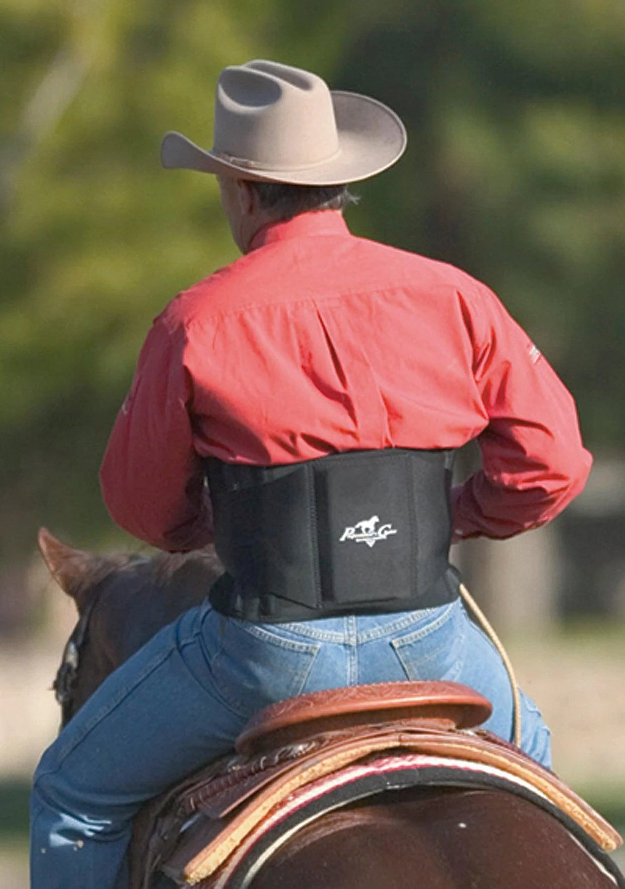 Professional's Choice Lower Back Support - Image 3