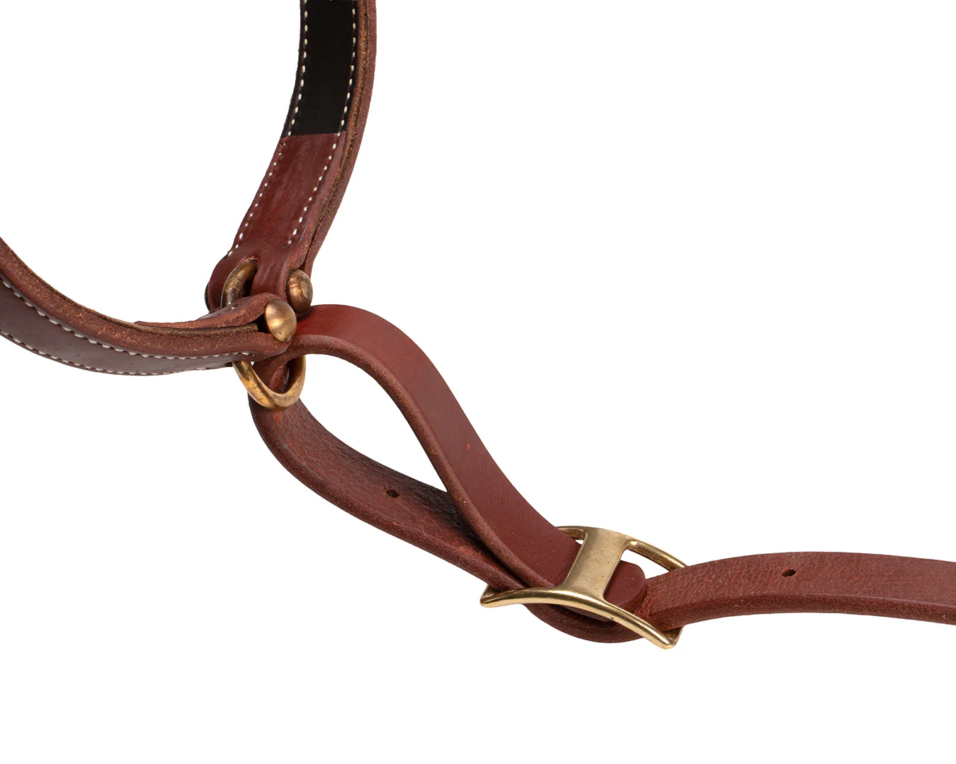 Professional's Choice Ranch Collection Tie Down Set - Image 4
