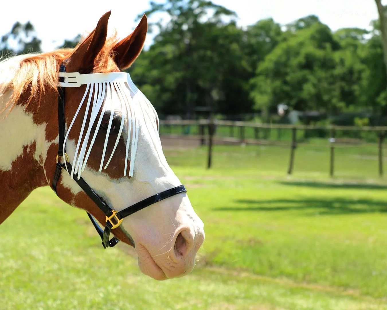 PVC Browband Fly Screen - Image 3