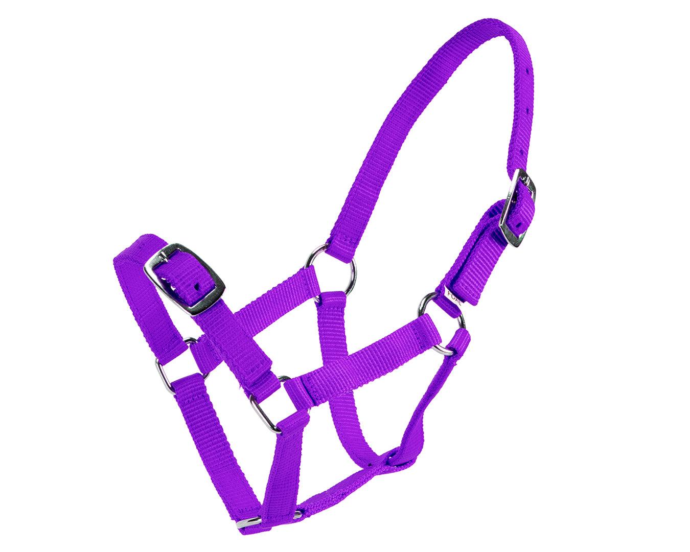 Rancher Economy Foal Halter