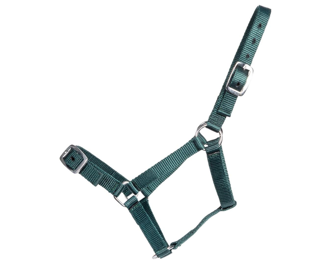Rancher Economy Foal Halter - Image 14