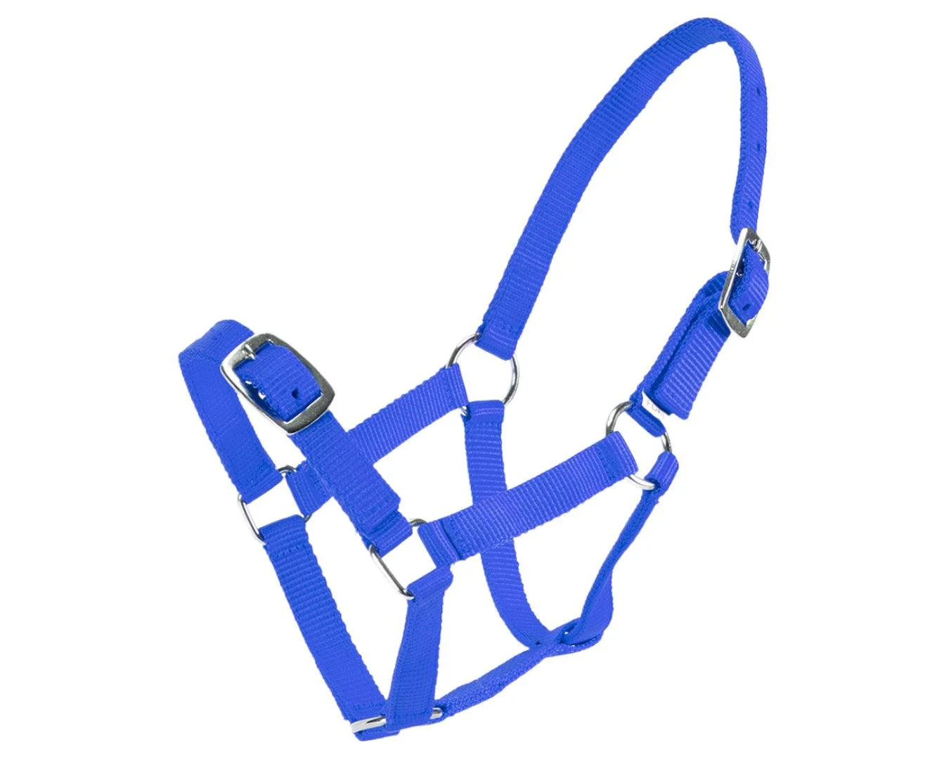 Rancher Economy Foal Halter - Image 5