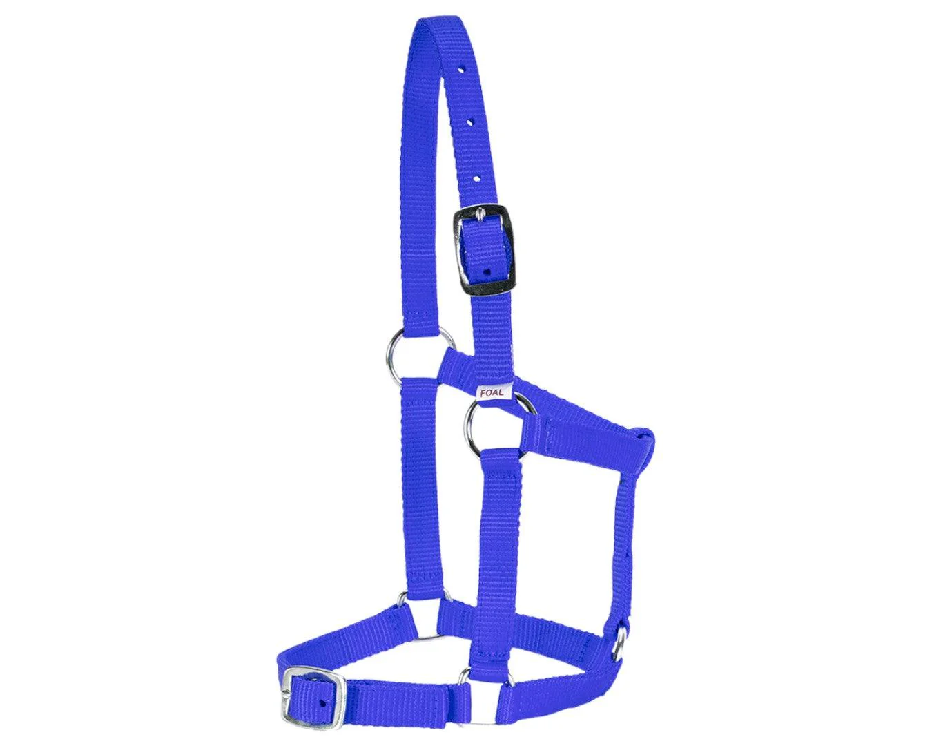 Rancher Economy Foal Halter - Image 6