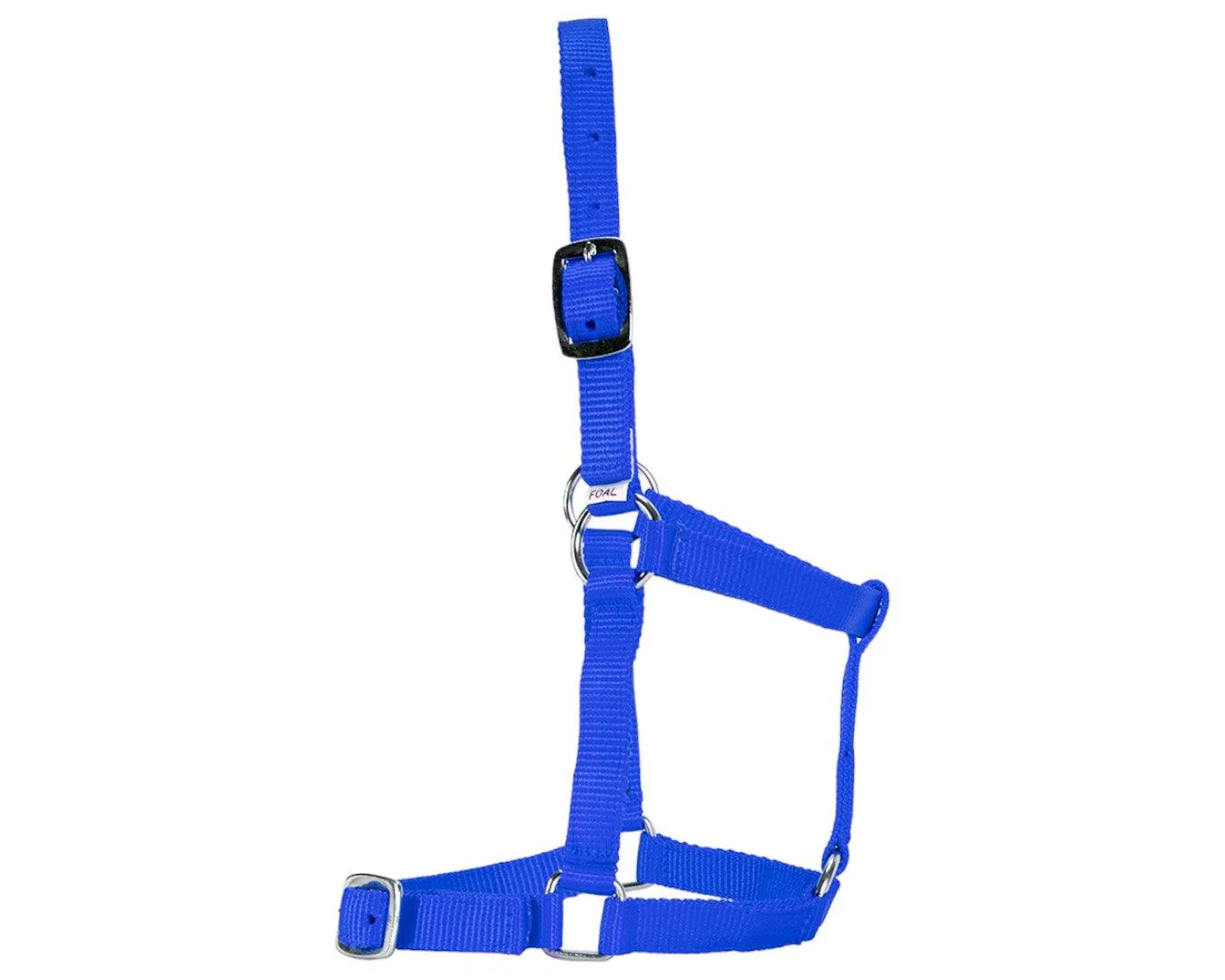 Rancher Economy Foal Halter - Image 8
