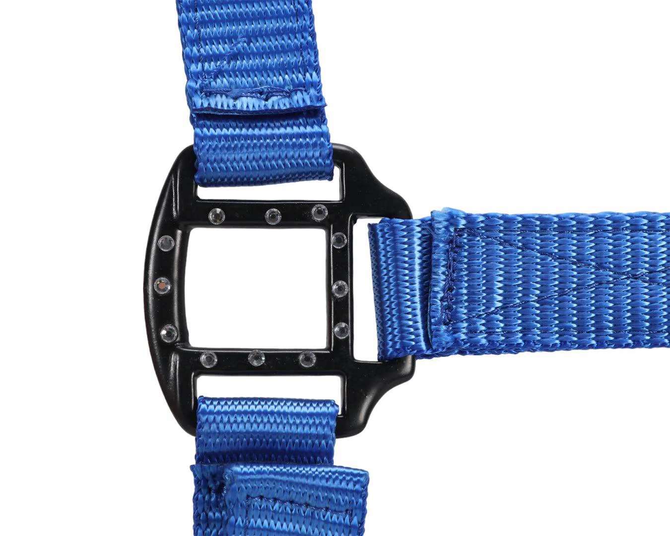 Rancher Halter w/Black Detail - Image 10