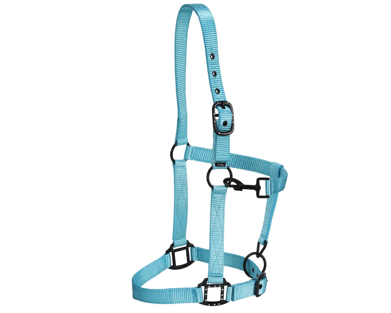 Rancher Halter w/Black Detail - Image 11