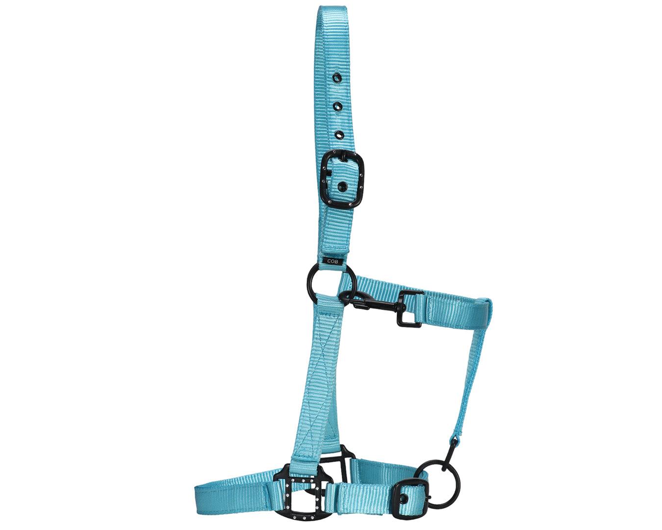 Rancher Halter w/Black Detail - Image 12