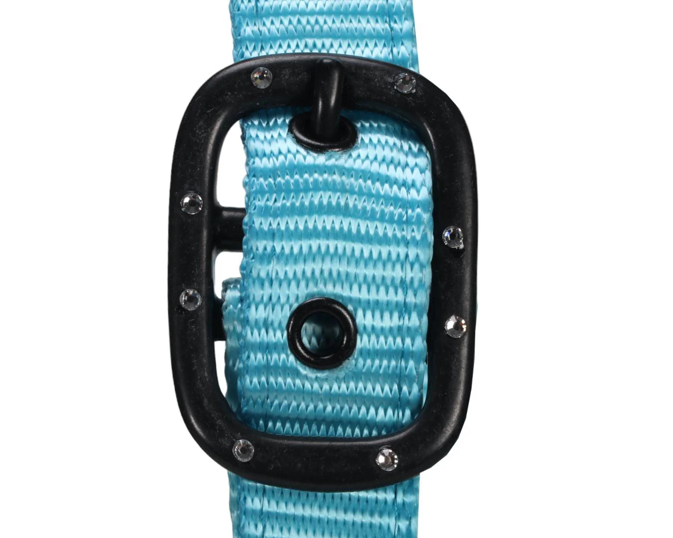 Rancher Halter w/Black Detail - Image 14