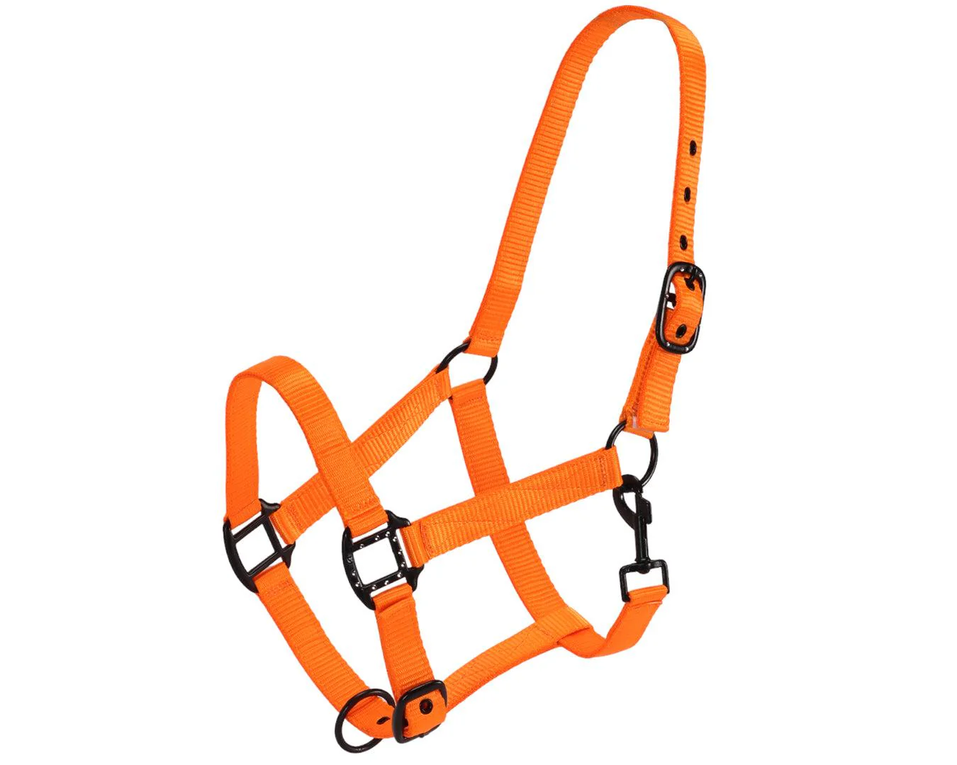 Rancher Halter w/Black Detail - Image 18