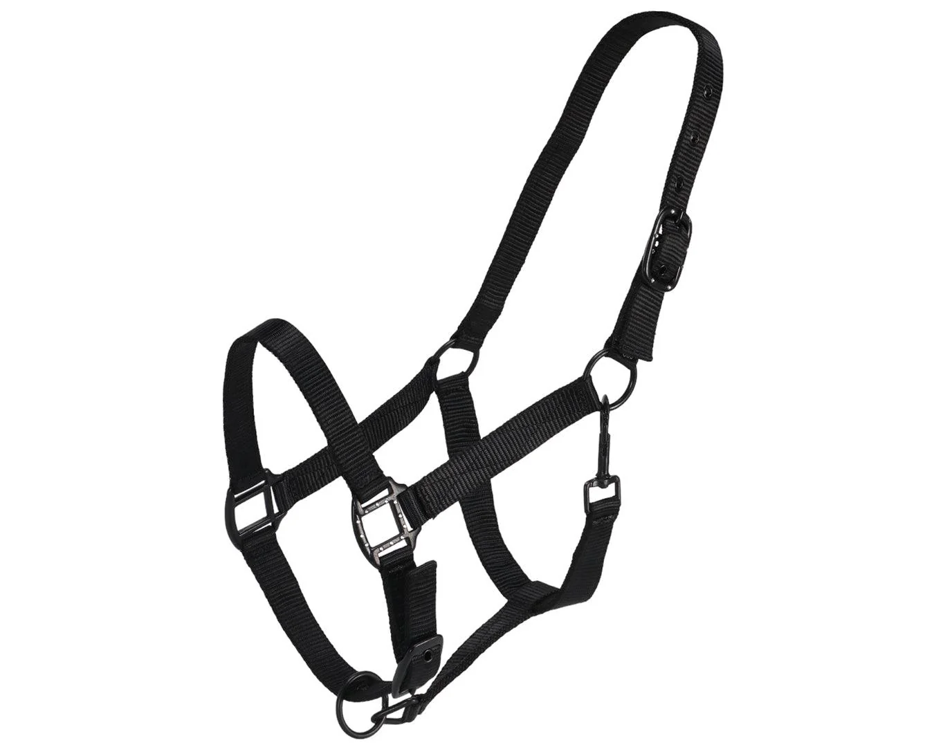 Rancher Halter w/Black Detail - Image 3