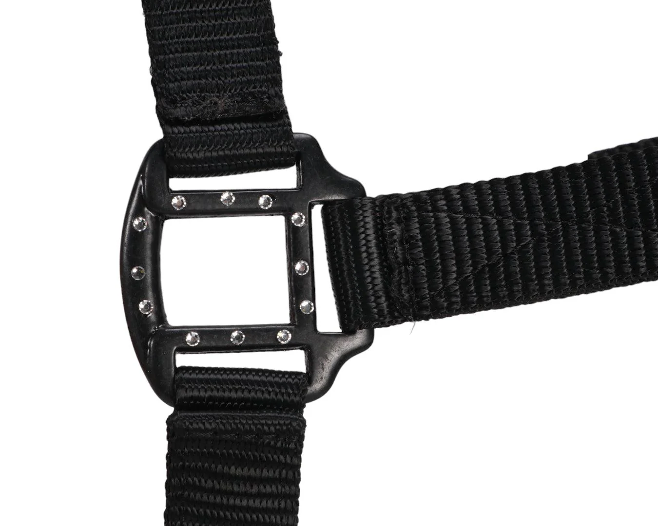 Rancher Halter w/Black Detail - Image 5