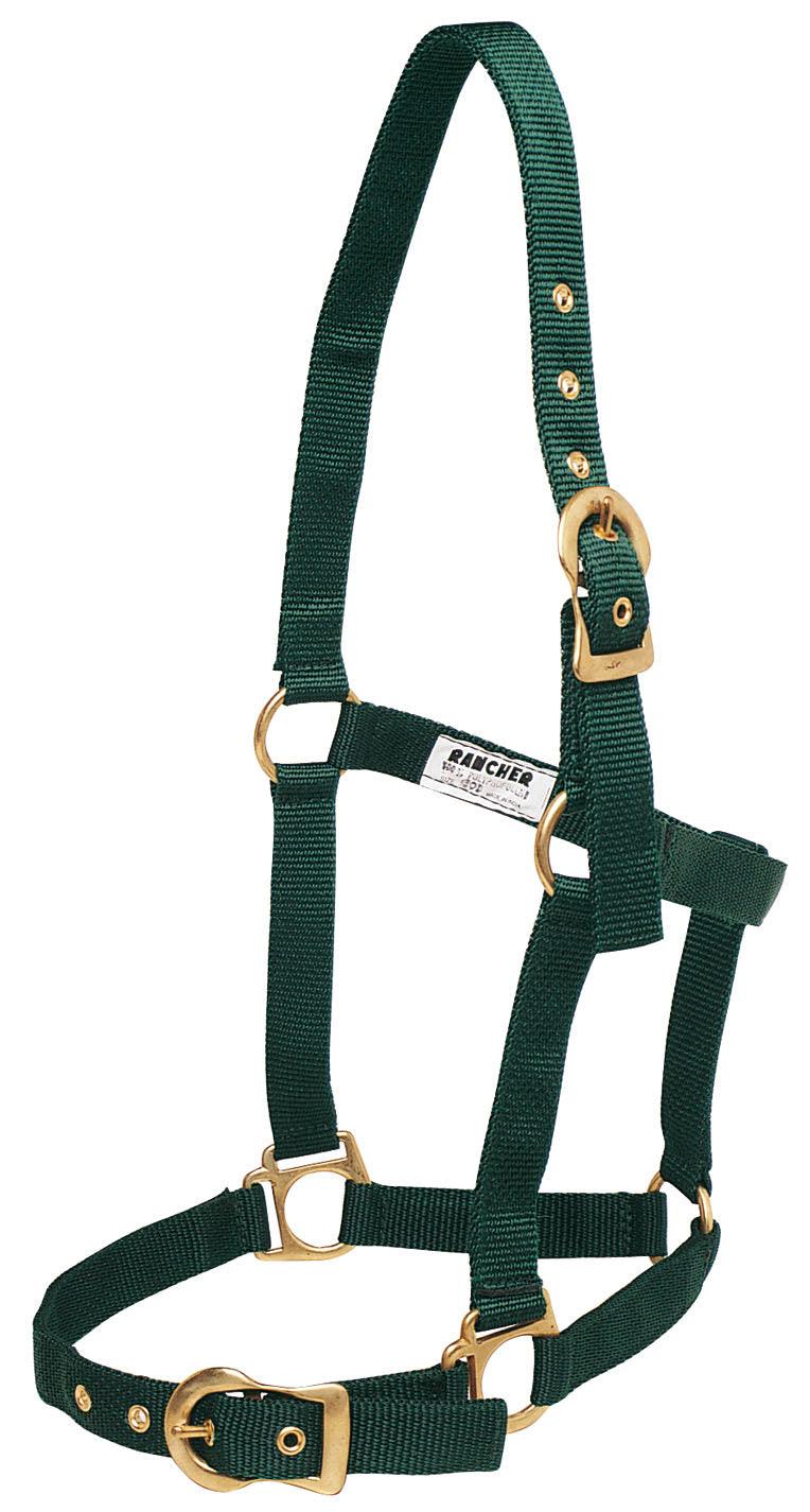 Rancher Halter w/Brass Buckles