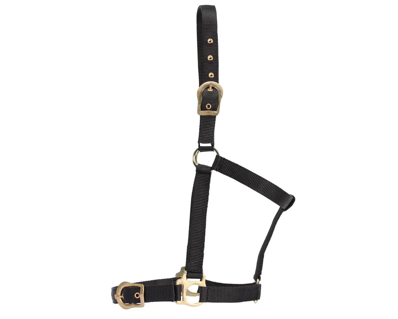 Rancher Halter w/Brass Buckles - Image 10
