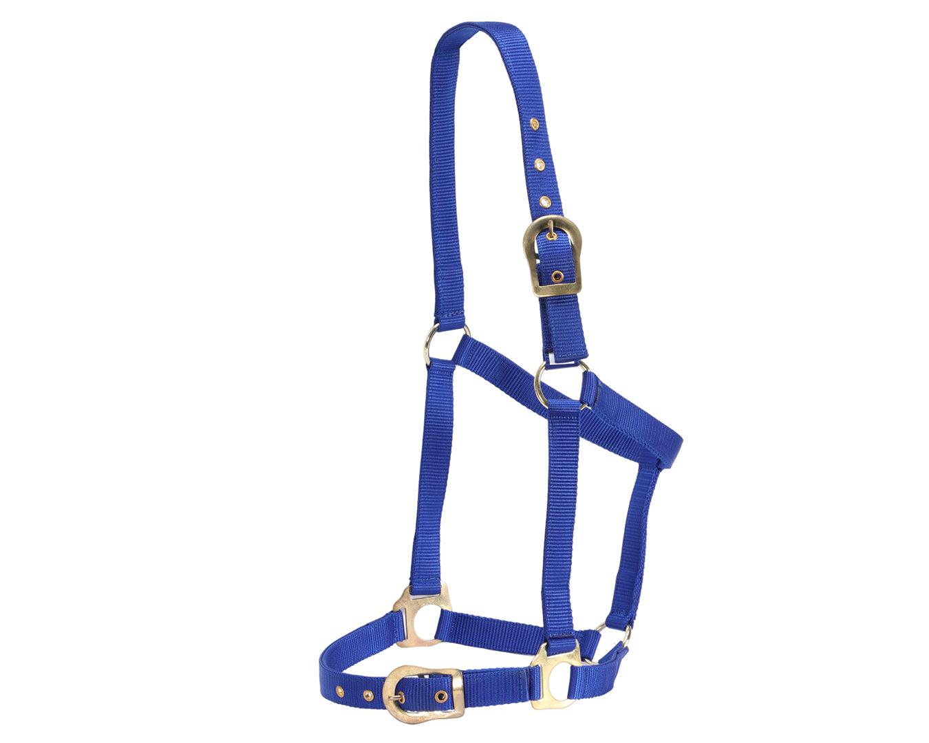 Rancher Halter w/Brass Buckles - Image 11