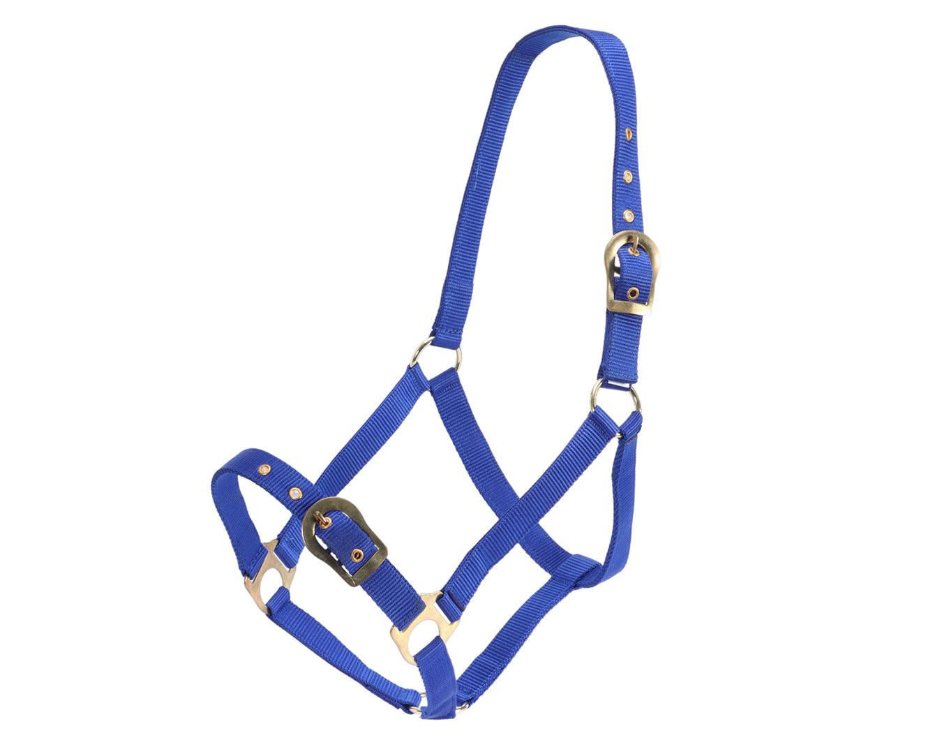 Rancher Halter w/Brass Buckles - Image 12