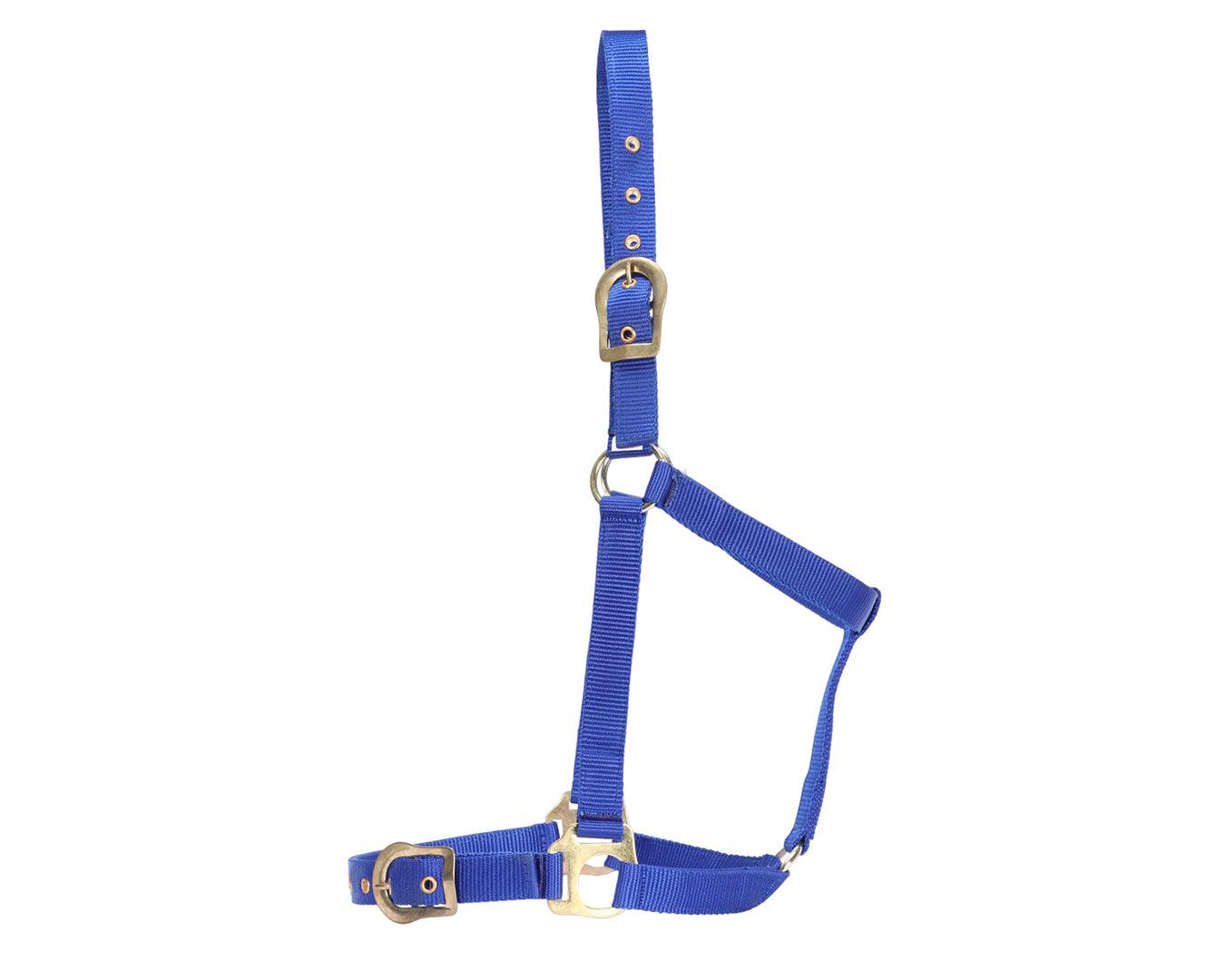 Rancher Halter w/Brass Buckles - Image 13