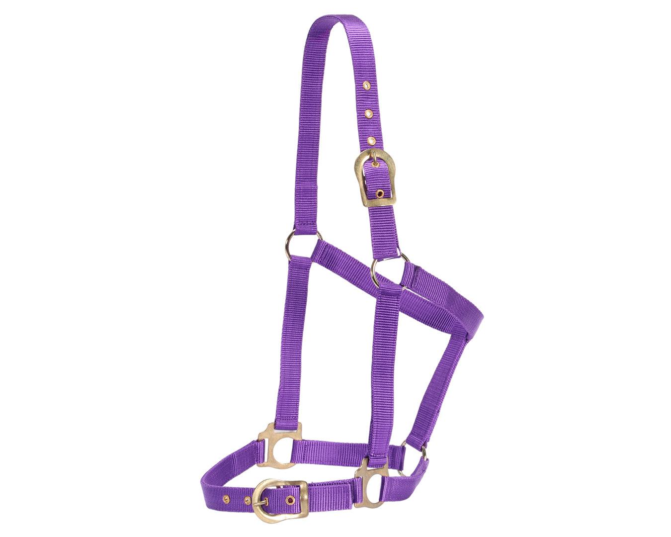 Rancher Halter w/Brass Buckles - Image 17