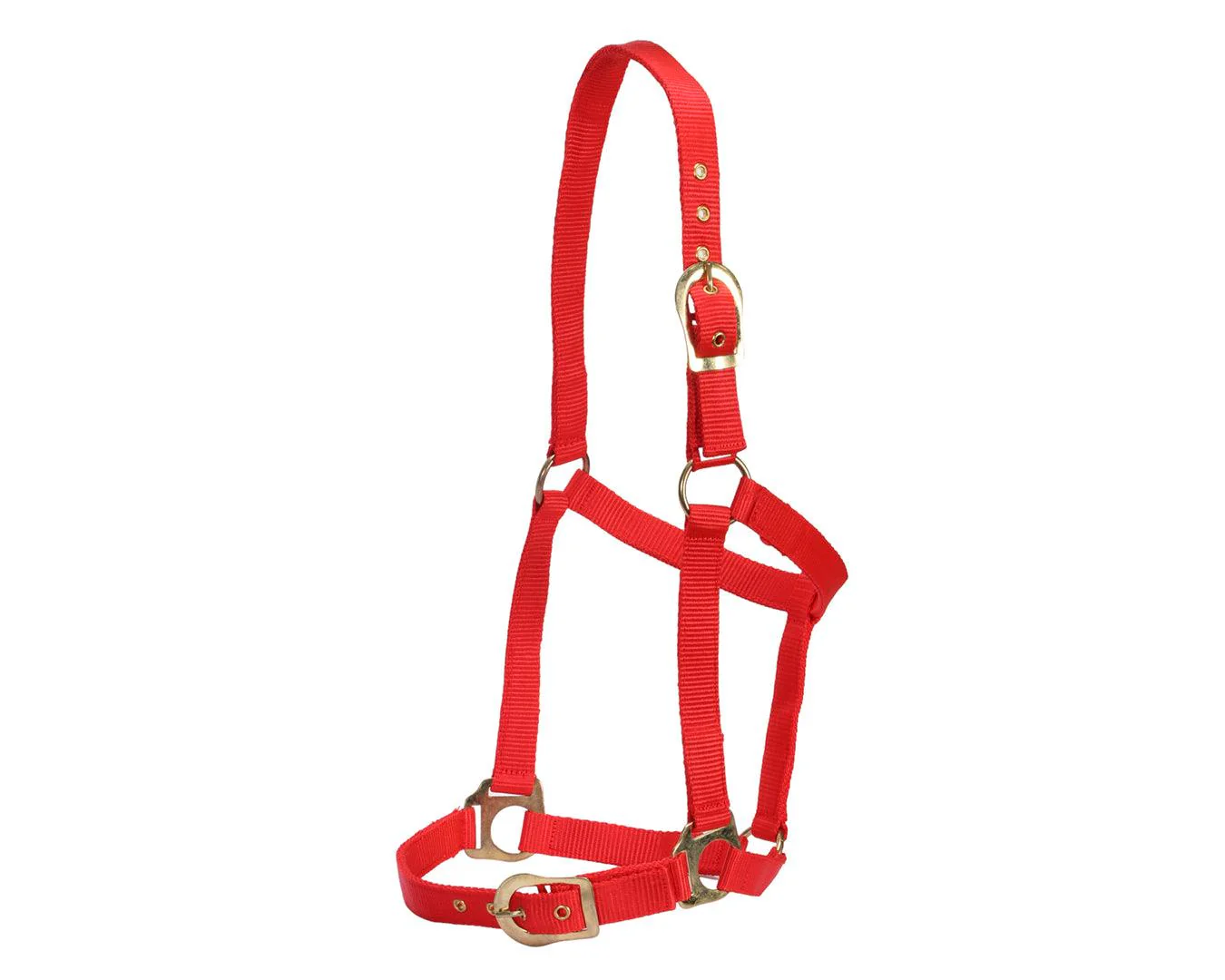 Rancher Halter w/Brass Buckles - Image 5
