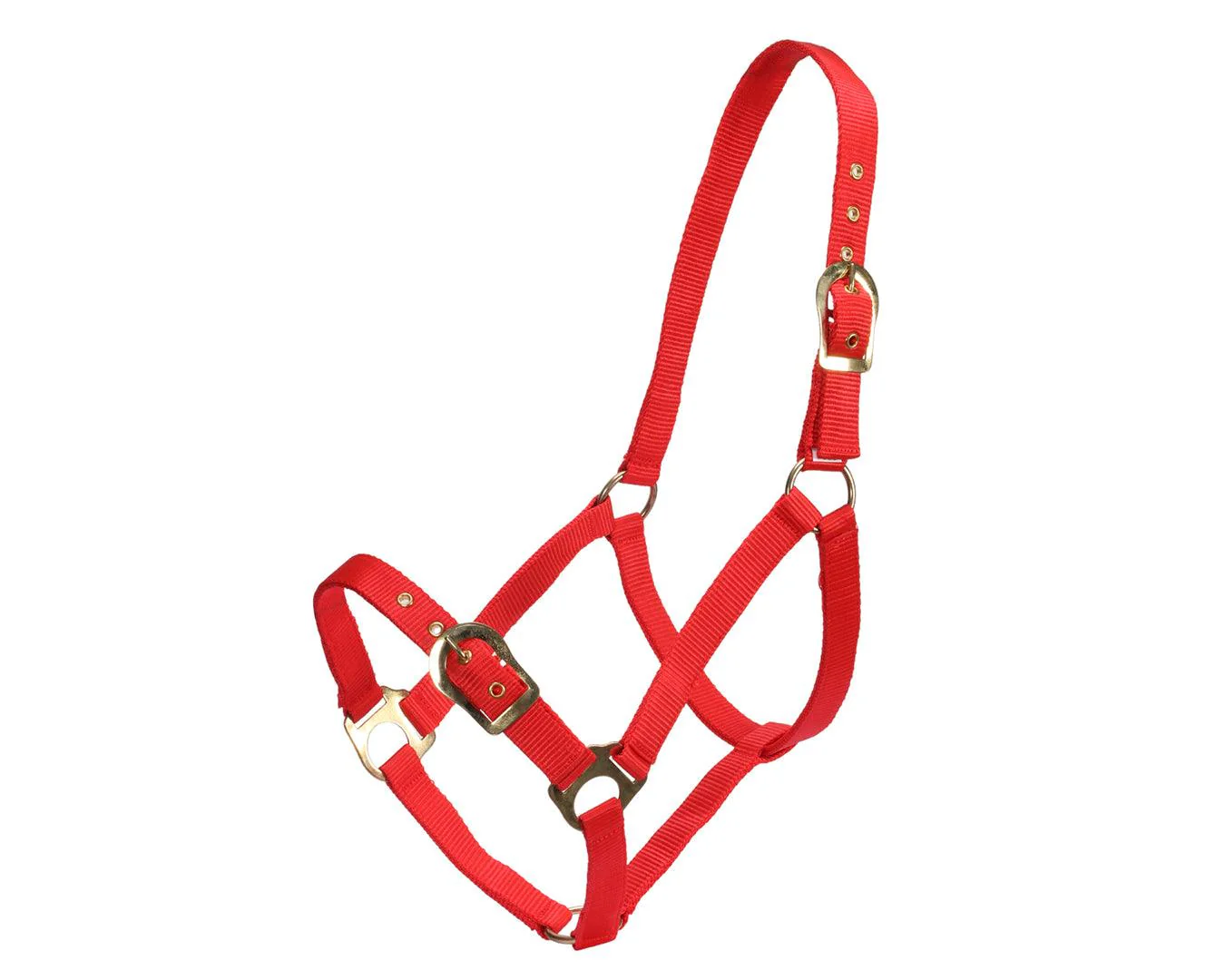 Rancher Halter w/Brass Buckles - Image 6