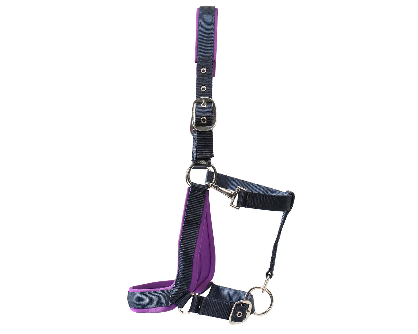 Rancher Neoprene Padded Halter - Navy & Purple - Image 3