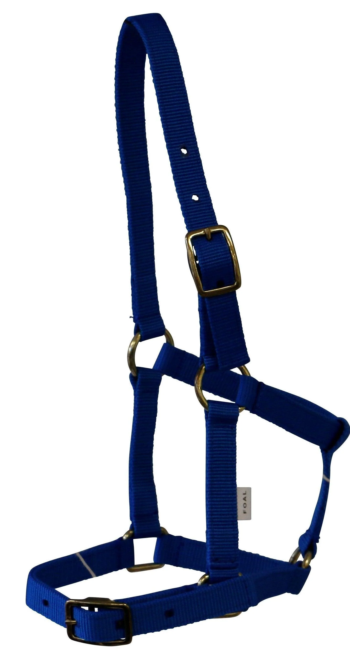 Rancher Nylon Foal Halter with Buckles