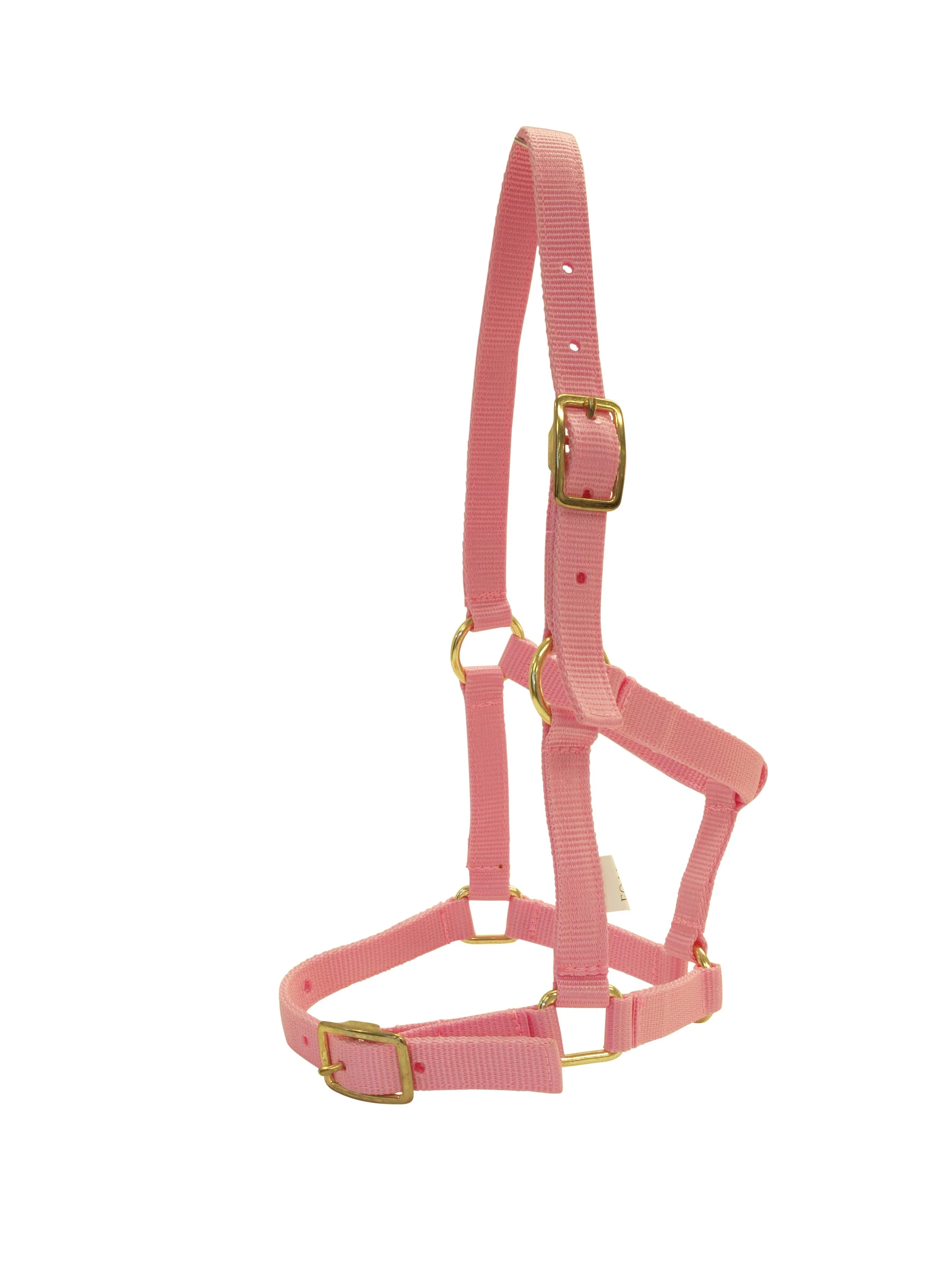 Rancher Nylon Foal Halter with Buckles - Image 2