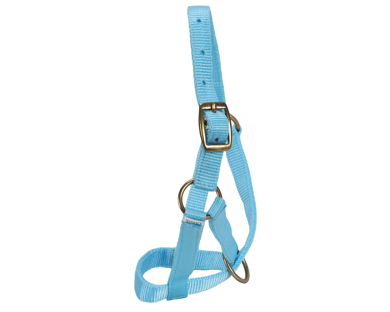 Rancher Pyramid Halter & Lead Set for Goats and Alpacas - Image 3