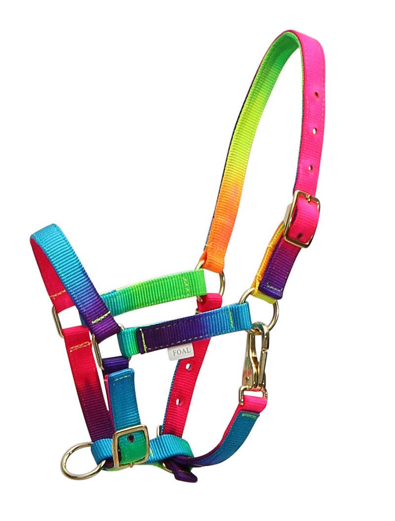 Rancher Rainbow Foal Halter