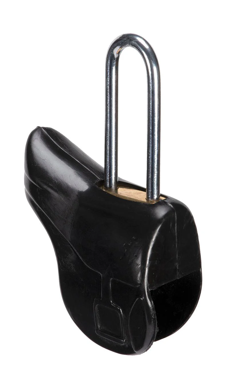 Saddle Padlock - Image 2