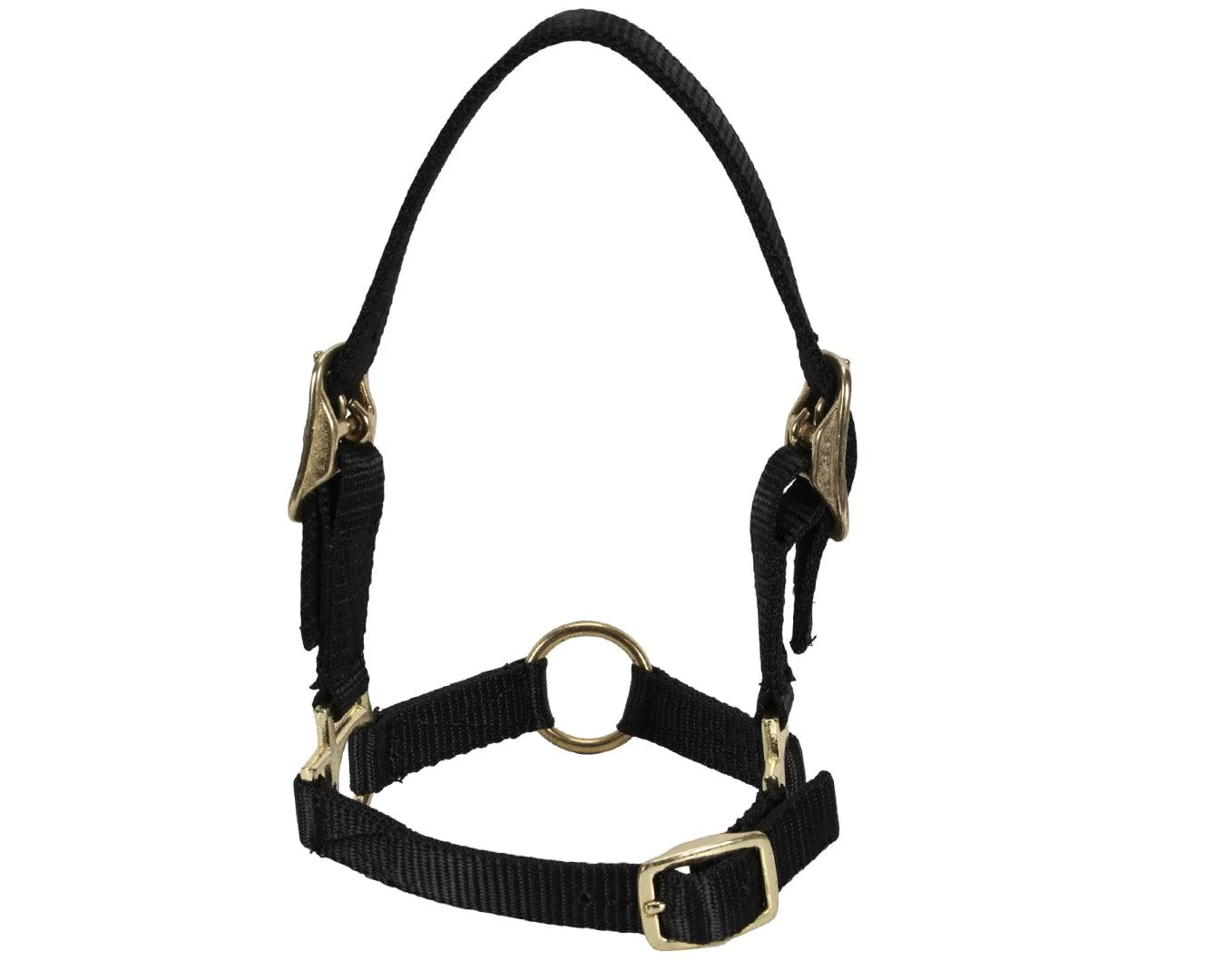 Sheep Halter w/Adjustable Noseband - Image 3