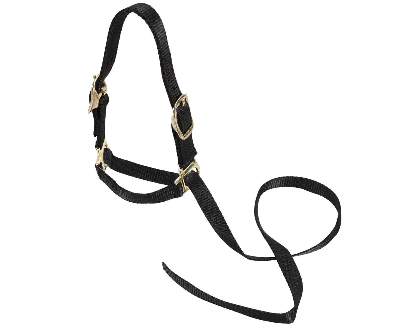 Sheep Show Halter - Image 4