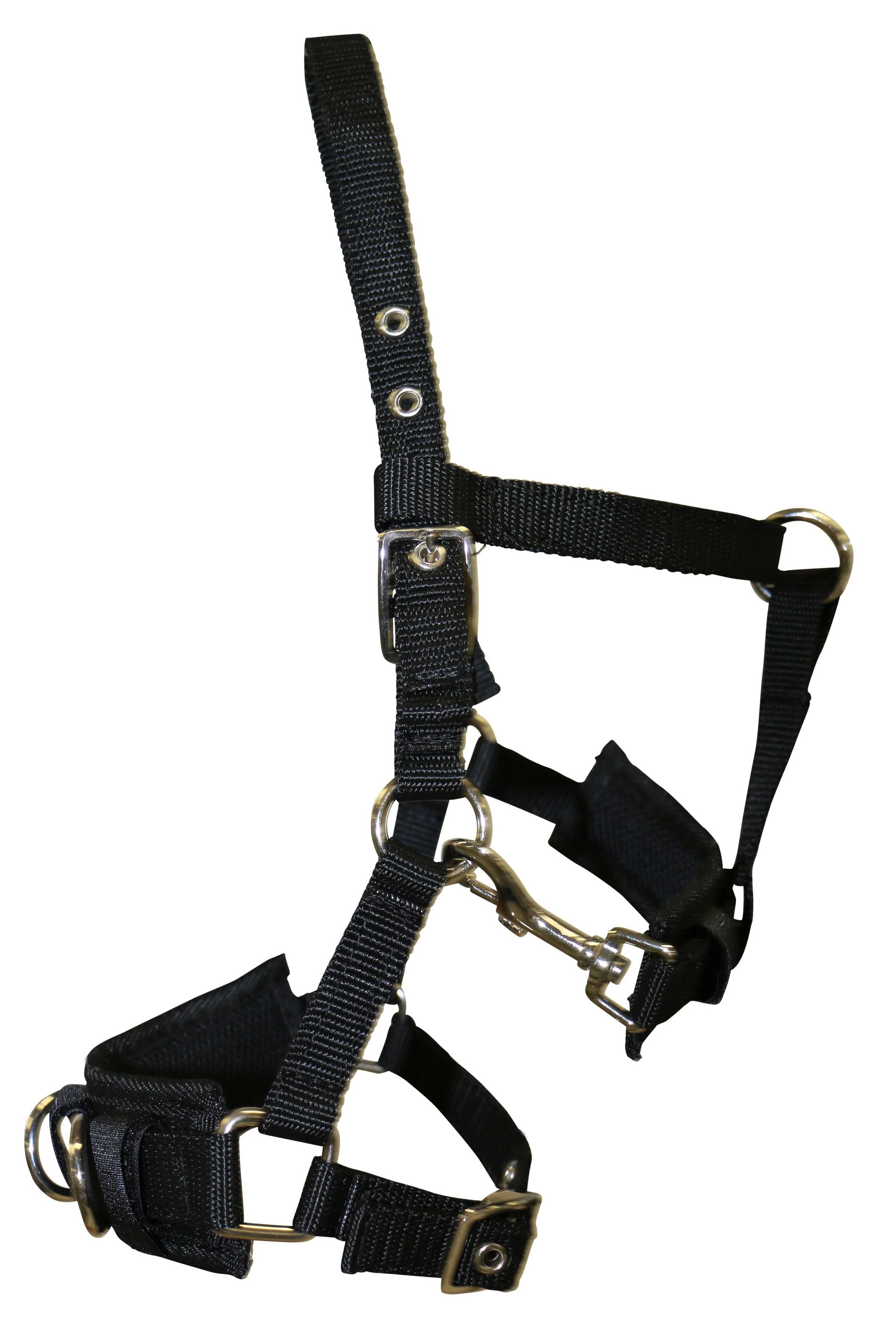 Shetland Nylon Lunge Cavesson