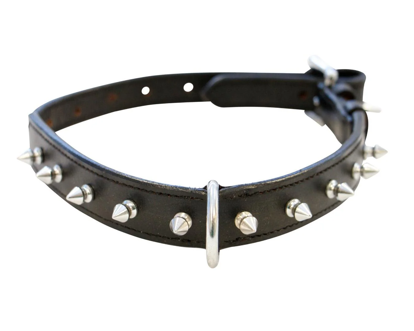 Single Row Studded Collar Dog Collar - Black