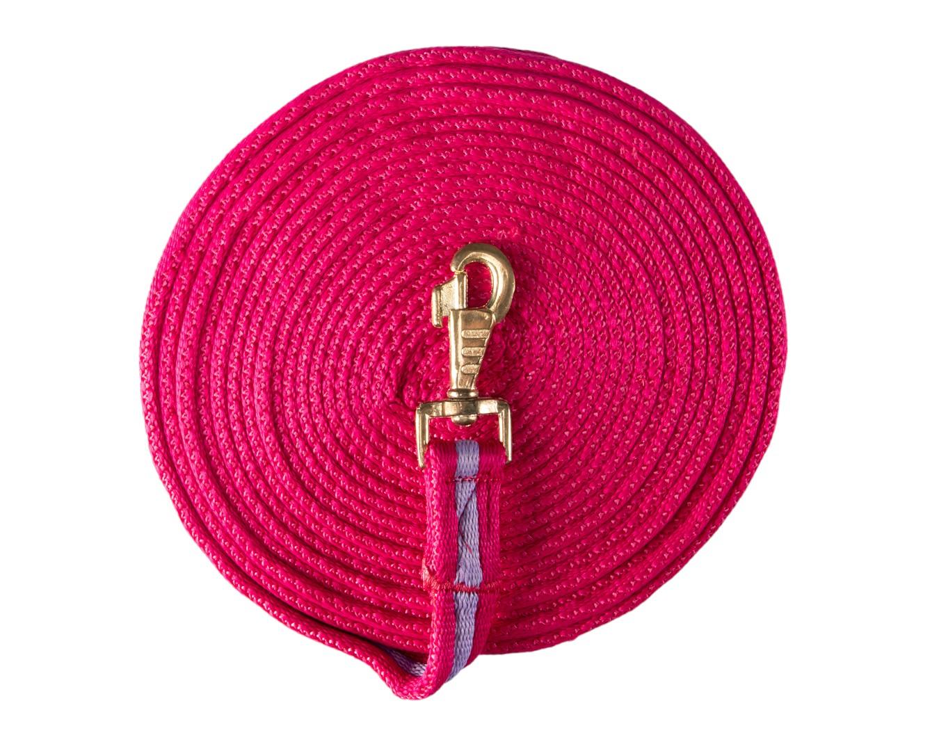 Soft Tubular Web Lunge Lead - Image 4