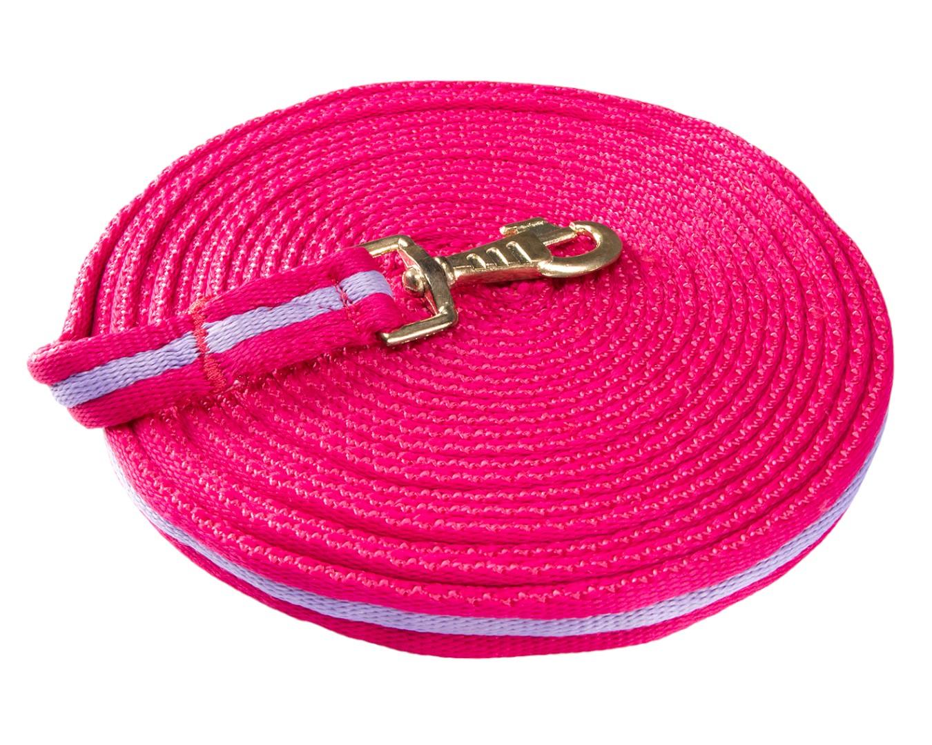 Soft Tubular Web Lunge Lead - Image 6