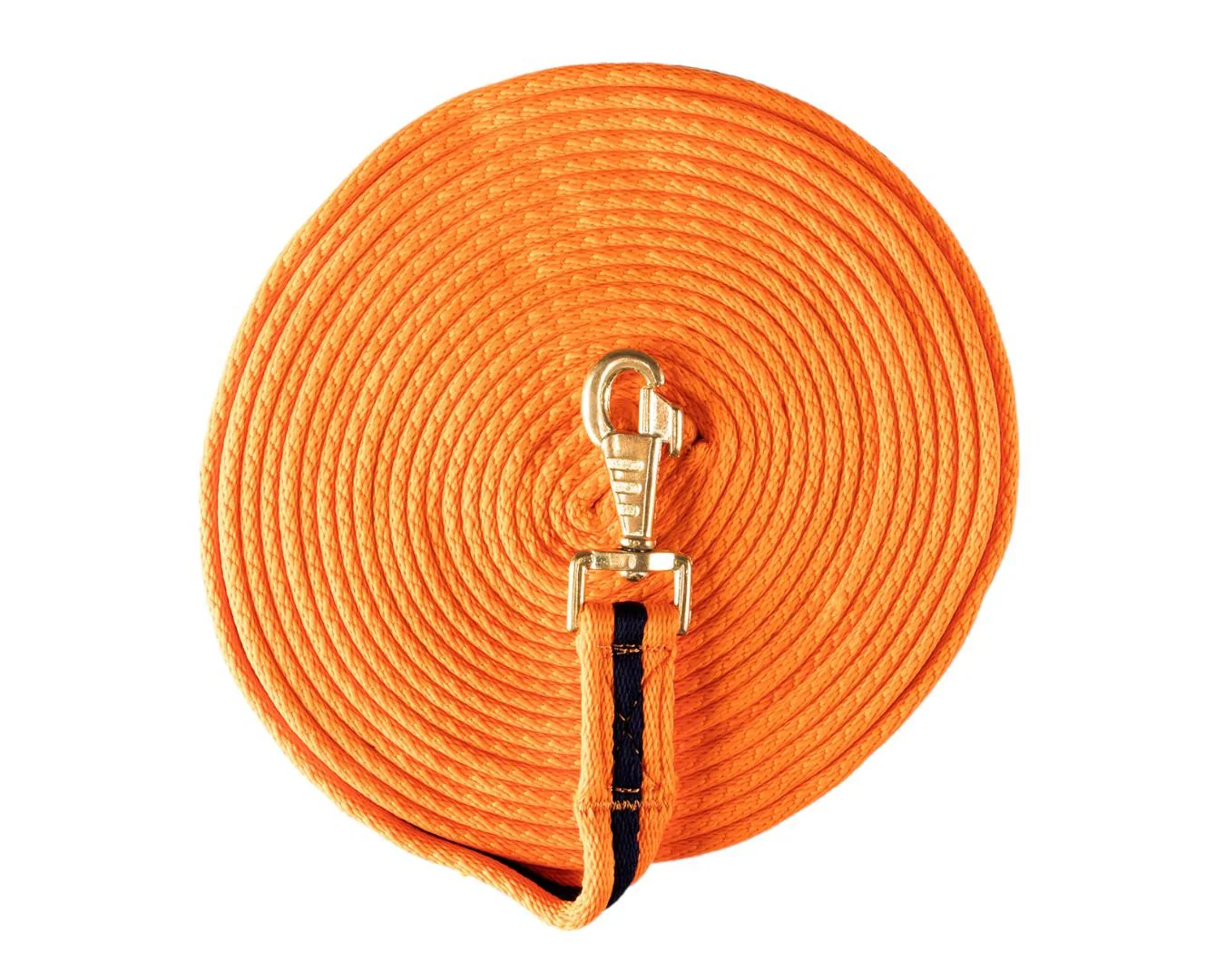 Soft Tubular Web Lunge Lead - Image 7