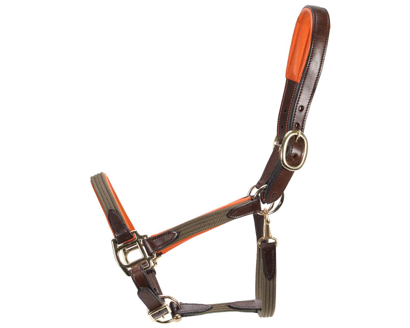 Sterling Heritage Leather Halter with Web - Image 3