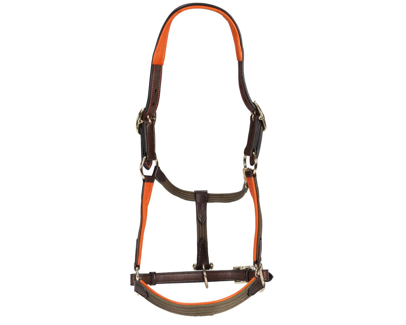 Sterling Heritage Leather Halter with Web - Image 4
